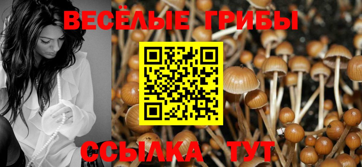 Псилоцибиновые грибы мицелий Амурск