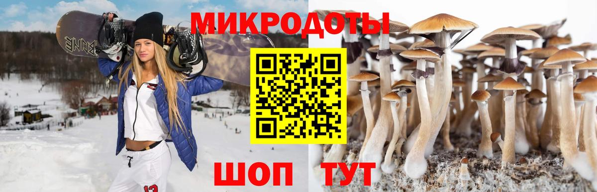 Амурск  Галлюциногенные грибы GOLDEN TEACHER  Вход с VPN 